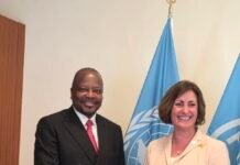 Kenya, FAO to deepen collaboration on soil health to boost agricultural productivity