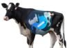 Otto Wireless Solutions Unveils LORA-Based GPS Livestock Tracking System in Partnership with HKT