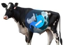 Otto Wireless Solutions Unveils LORA-Based GPS Livestock Tracking System in Partnership with HKT