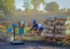 From Hunger to Harvest: How One PRASL Farmer Now Produces 30 Tons Per Hectare and Creates 25 Jobs