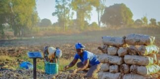 From Hunger to Harvest: How One PRASL Farmer Now Produces 30 Tons Per Hectare and Creates 25 Jobs