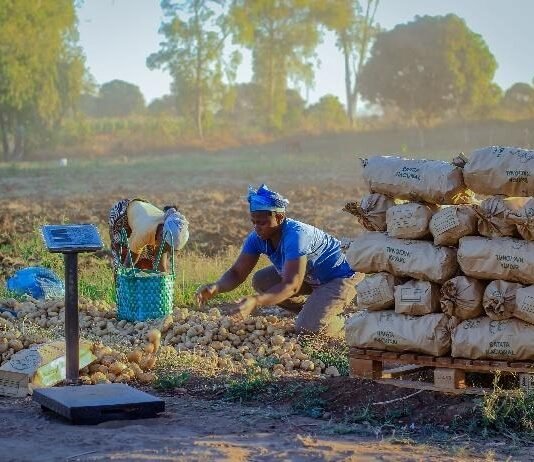 From Hunger to Harvest: How One PRASL Farmer Now Produces 30 Tons Per Hectare and Creates 25 Jobs