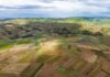 Precision Farming in Africa: Opportunity in a Data-Driven Era