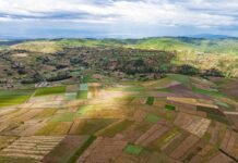 Precision Farming in Africa: Opportunity in a Data-Driven Era