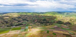 Precision Farming in Africa: Opportunity in a Data-Driven Era