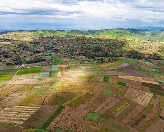 Precision Farming in Africa: Opportunity in a Data-Driven Era