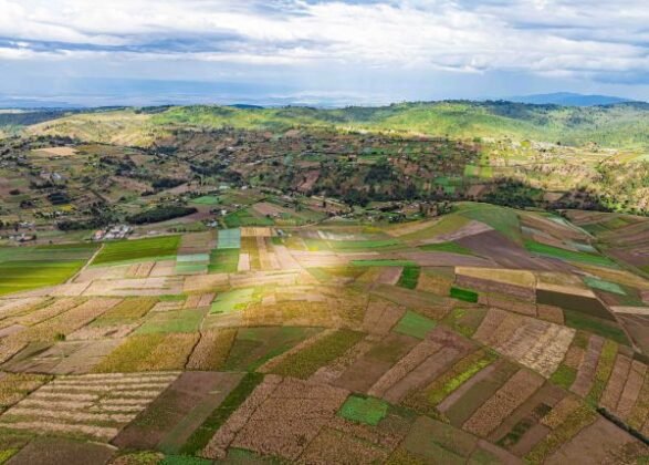 Precision Farming in Africa: Opportunity in a Data-Driven Era - Farmers ...