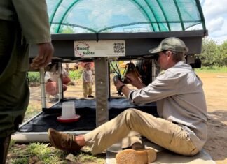 Can a 2m x 2m Farm Pay for Itself in 12 Months — And Provide a Sustainable Livelihood?