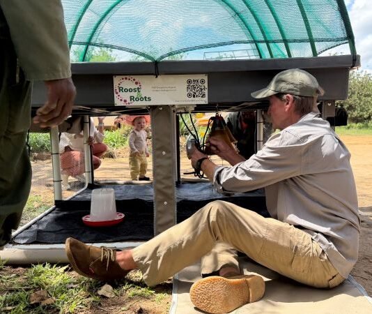 Can a 2m x 2m Farm Pay for Itself in 12 Months — And Provide a Sustainable Livelihood?