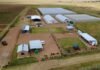 Seriti’s Agricultural Development Initiatives Earn Three Prestigious Award Nominations