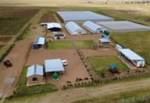 Seriti’s Agricultural Development Initiatives Earn Three Prestigious Award Nominations