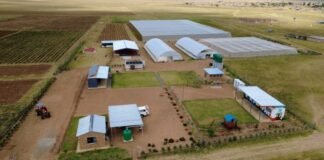 Seriti’s Agricultural Development Initiatives Earn Three Prestigious Award Nominations