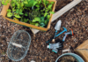 Three smart additions to your summer gardening toolkit