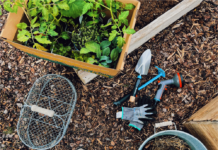 Three smart additions to your summer gardening toolkit