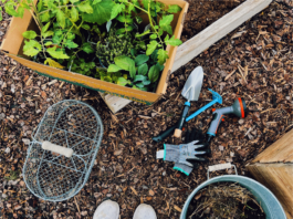 Three smart additions to your summer gardening toolkit