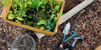 Three smart additions to your summer gardening toolkit