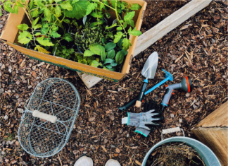 Three smart additions to your summer gardening toolkit