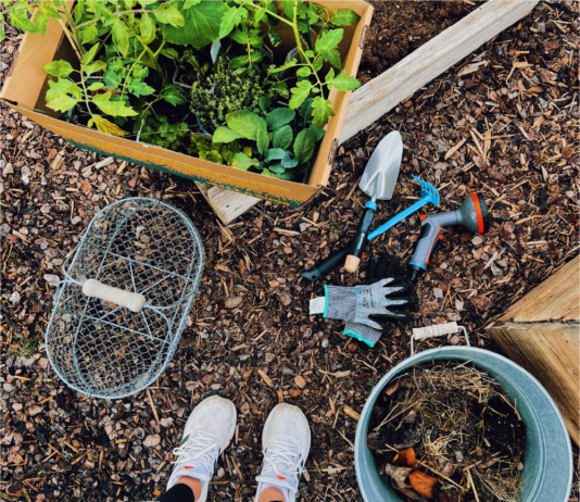 Three smart additions to your summer gardening toolkit