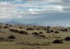 IUCN and WCS call for ecological integrity to be at the heart of global biodiversity and climate action