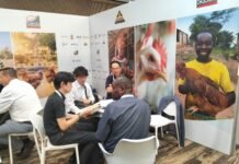 VIV Africa 2026 wraps up in Kigali, connecting African agribusiness with global expertise