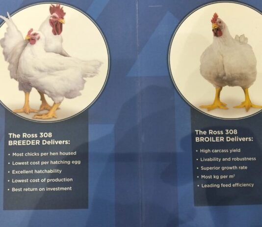 Aviagen East Africa supports sustainable poultry production and access to affordable protein
