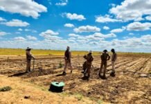 South Africa’s Climate Action Must Place Communities at the Centre